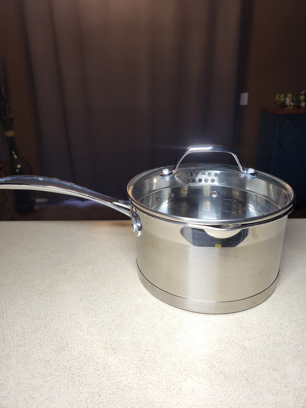 Brookstone Stainless Steel Saucepan with Glass Lid - Silver